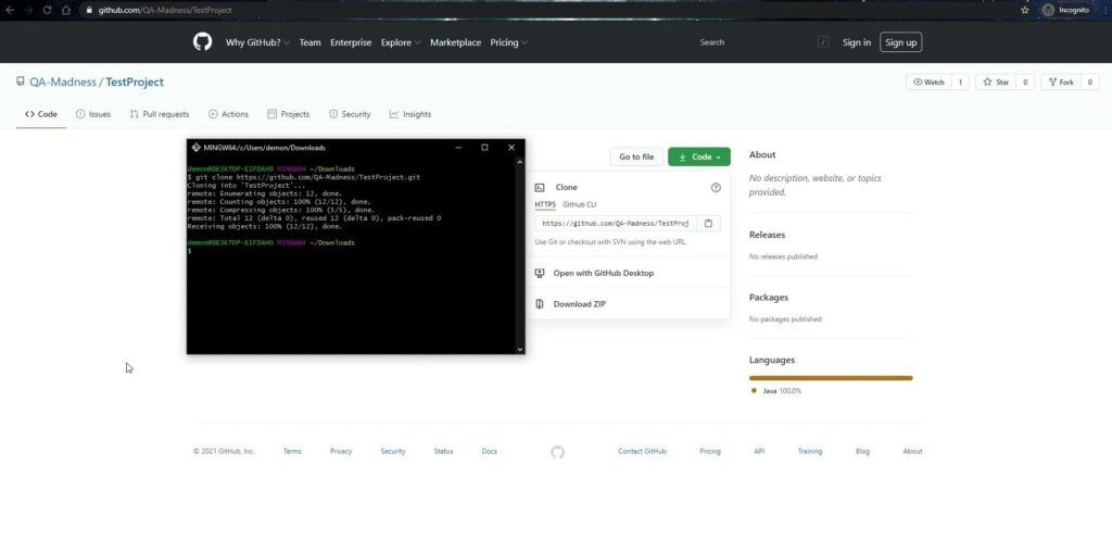 How to Install Git 6